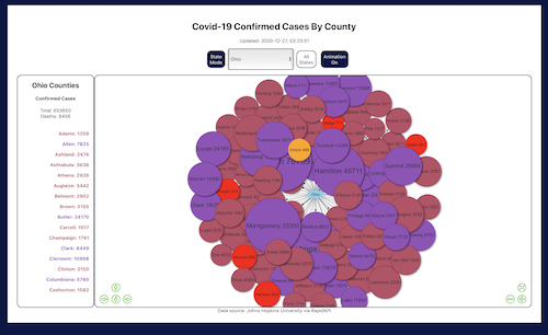 COVID Visualizer